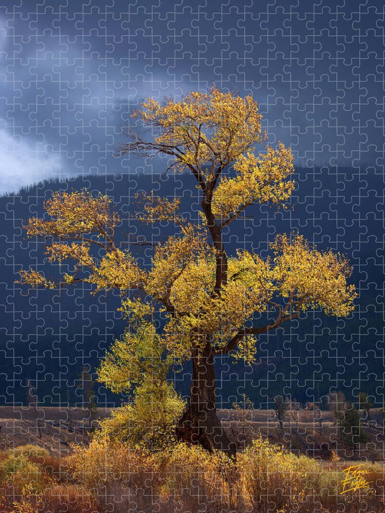 200-400mm Jigsaw Puzzle featuring the photograph Facing The Storm by Edgars Erglis