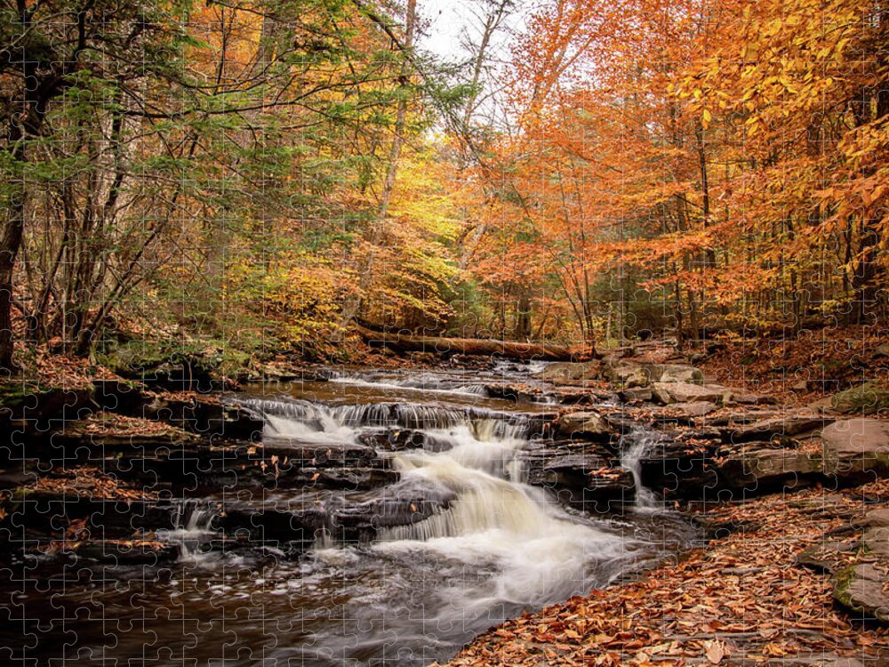 Fall Jigsaw Puzzle featuring the photograph Fall Along the Glen Leigh by Rose Guinther