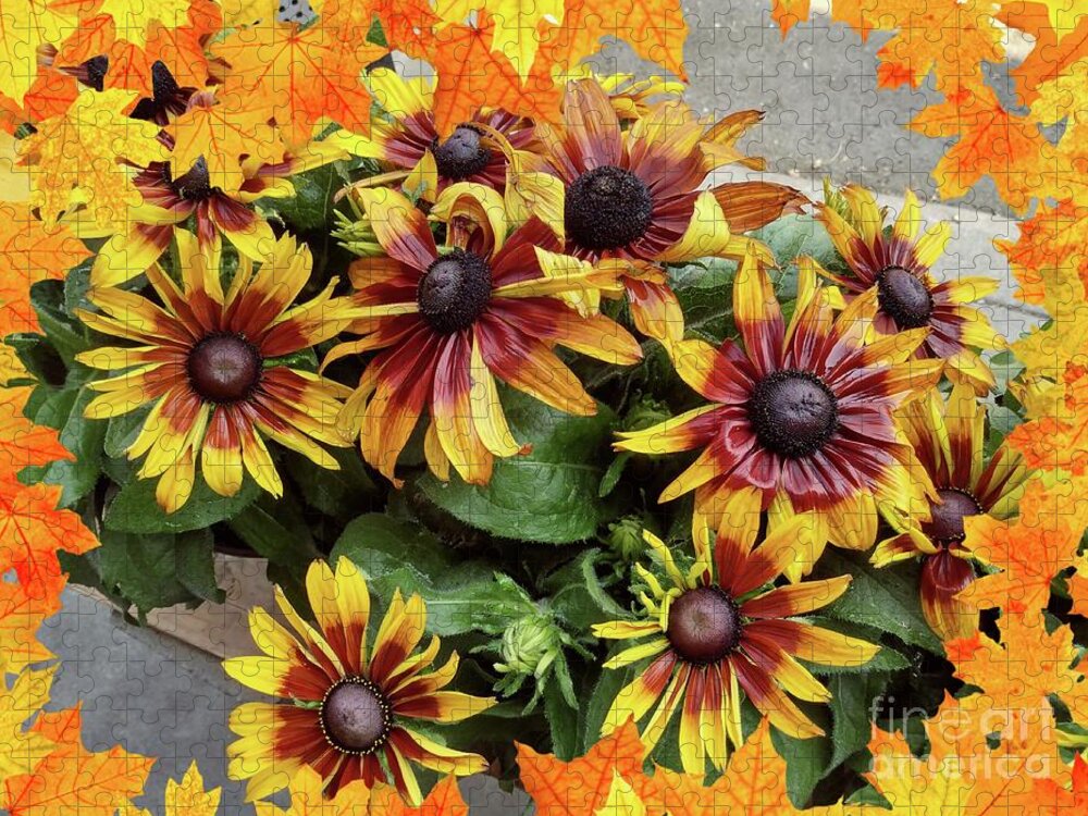 Blooms Jigsaw Puzzle featuring the photograph Fall blooms by Steven Wills