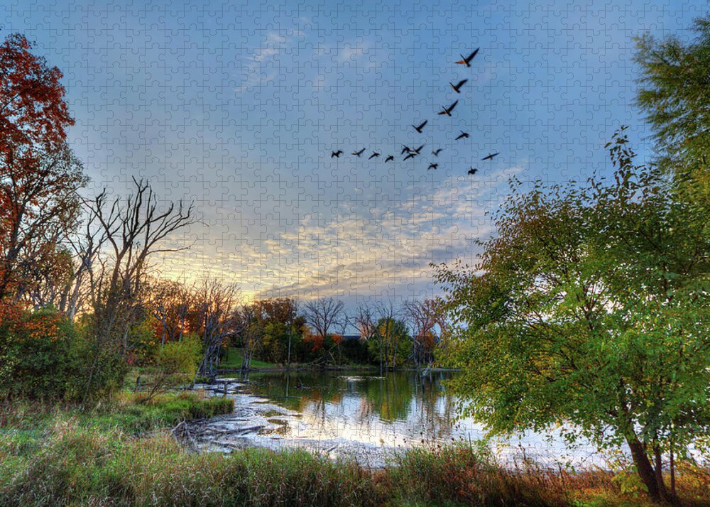 Geese Pond Autumn Fall Trees Color Horizontal Landscape Scenic Blue Green Goose Hunting Sunset Jigsaw Puzzle featuring the photograph Fall Flight by Peter Herman