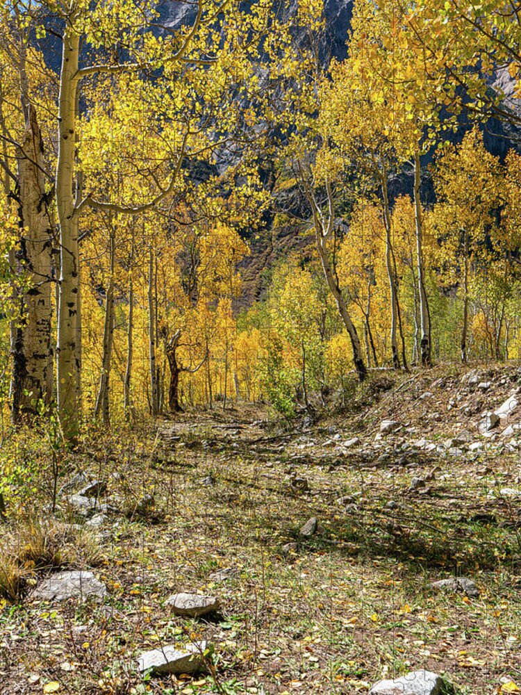 Aspens Jigsaw Puzzle featuring the photograph Fall Mountain Road by Ron Long Ltd Photography