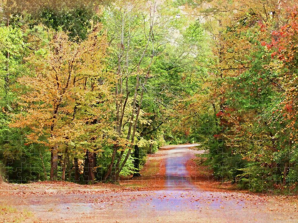 Willow Oak Jigsaw Puzzle featuring the photograph Fall Pathway by Judy Vincent