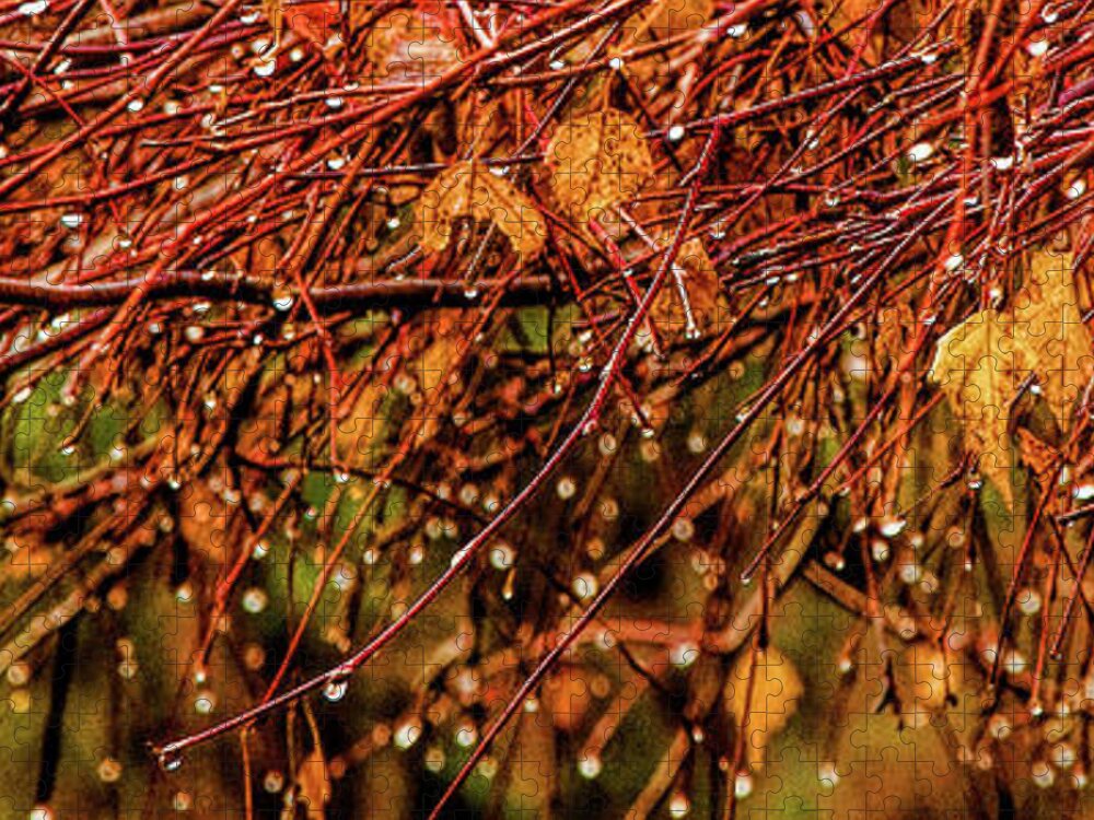 Fall Jigsaw Puzzle featuring the photograph Fall Rain Drops by Pamela Dunn-Parrish