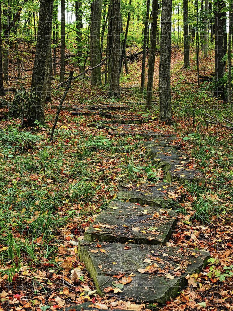 Trees Jigsaw Puzzle featuring the photograph Fall Stone Pathway by Scott Olsen