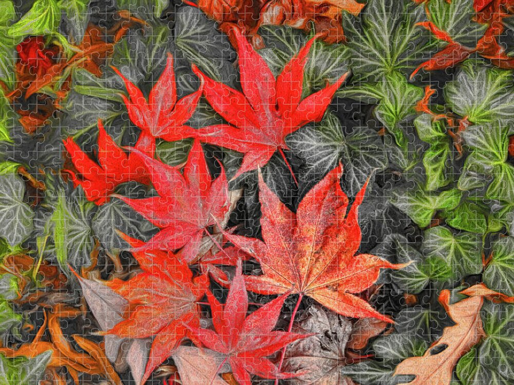 Leaves Jigsaw Puzzle featuring the photograph Fallen Leaves by Ola Allen