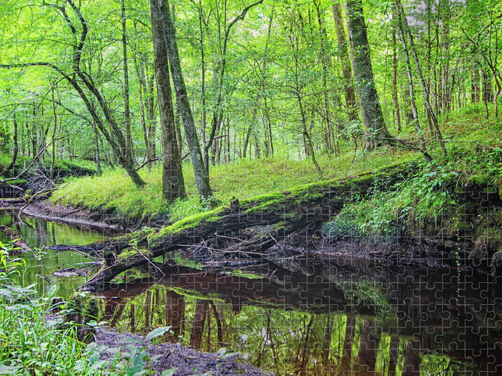 Island Creek Jigsaw Puzzle featuring the photograph Fallen Log at Island Creek - Croatan National Forest - NC by Bob Decker