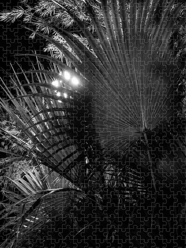 Backlighting Jigsaw Puzzle featuring the photograph Fan Palm Night by Liza Eckardt