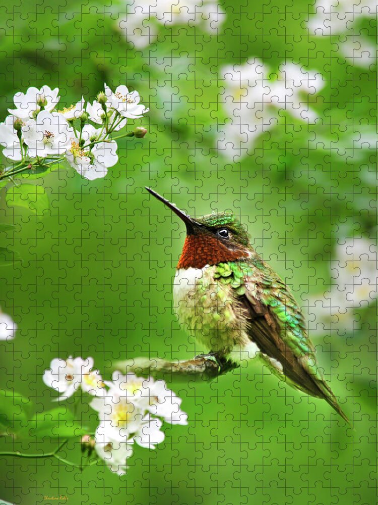 Hummingbird Jigsaw Puzzle featuring the photograph Fauna and Flora - Hummingbird with Flowers by Christina Rollo