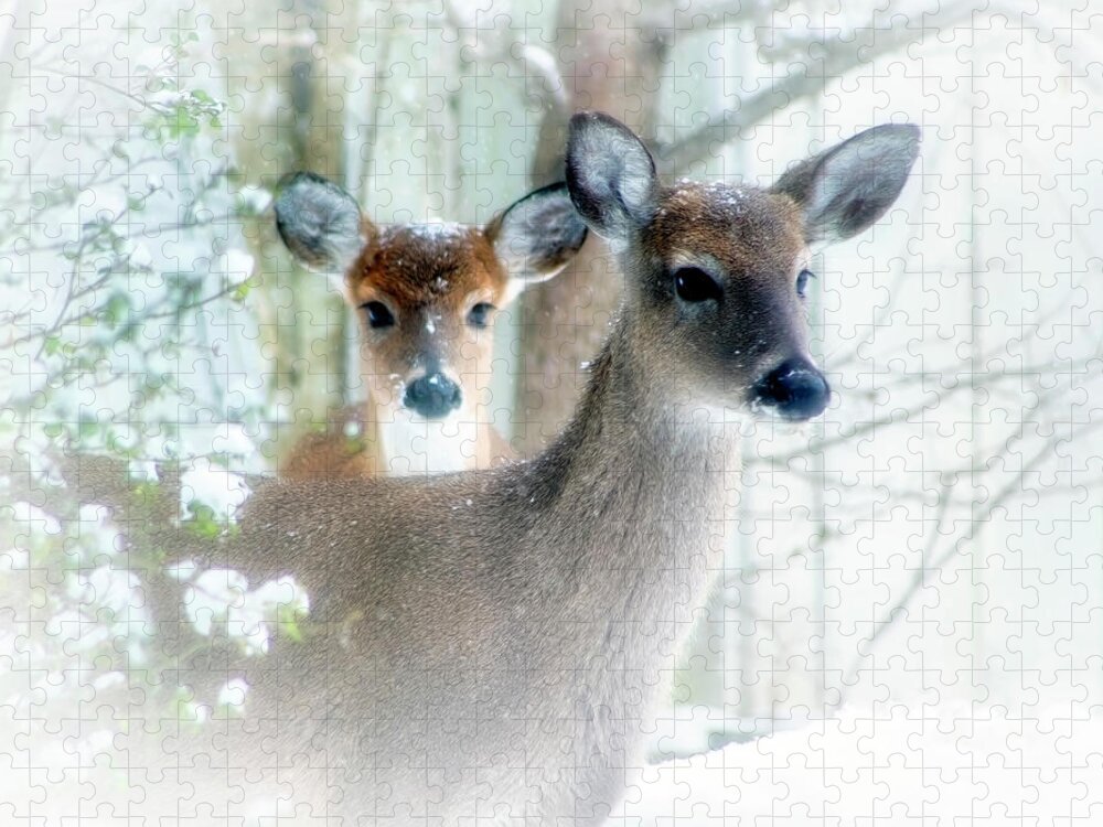Fawns Jigsaw Puzzle featuring the photograph Fawns On A Snowy Day by Laura Vilandre