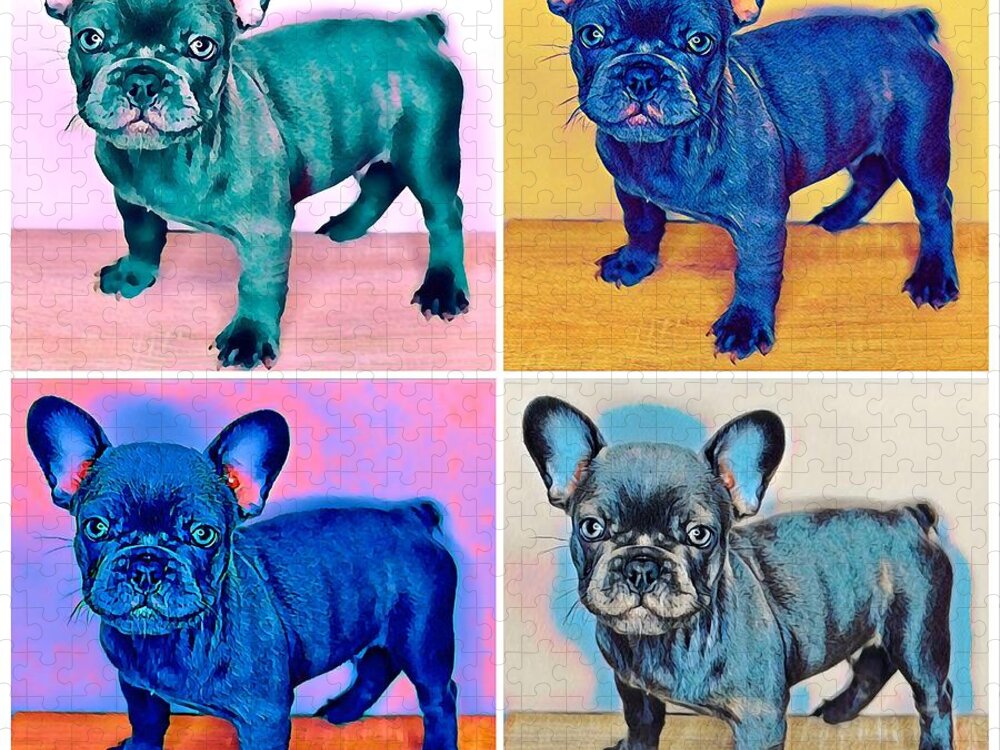 Blue French Bulldog. Frenchie. Dog. Pet. Animals. Jigsaw Puzzle featuring the photograph Feeling Bully by Denise Railey