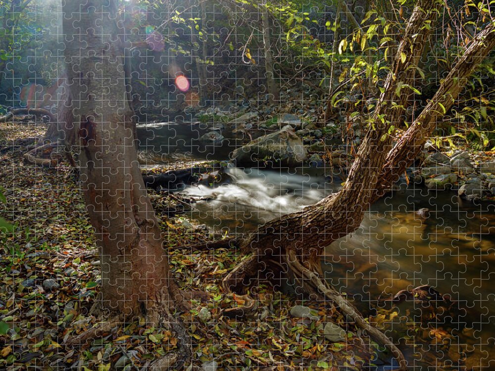Sunol Ohlone Regional Wilderness Jigsaw Puzzle featuring the photograph Feeling Special by Laurie Search