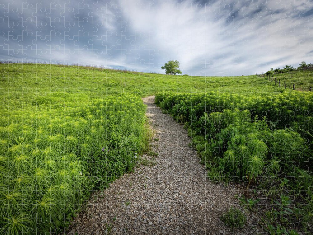 Blue Sky Jigsaw Puzzle featuring the photograph Feeling The Way Onward by Scott Bean