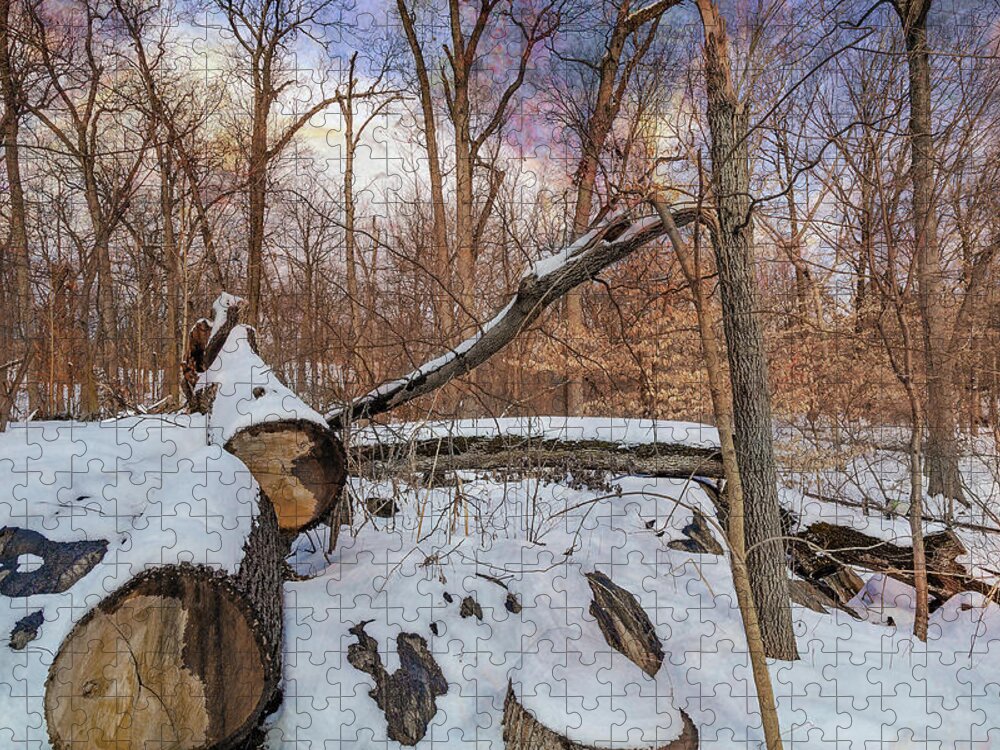 Bronx Botanical Gardens Jigsaw Puzzle featuring the photograph Felled Tree in the Forest by Cate Franklyn