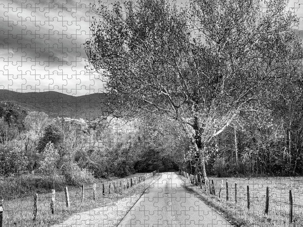 Black Jigsaw Puzzle featuring the photograph Fence Along Sparks Lane at Cades Cove Black and White by Debra and Dave Vanderlaan