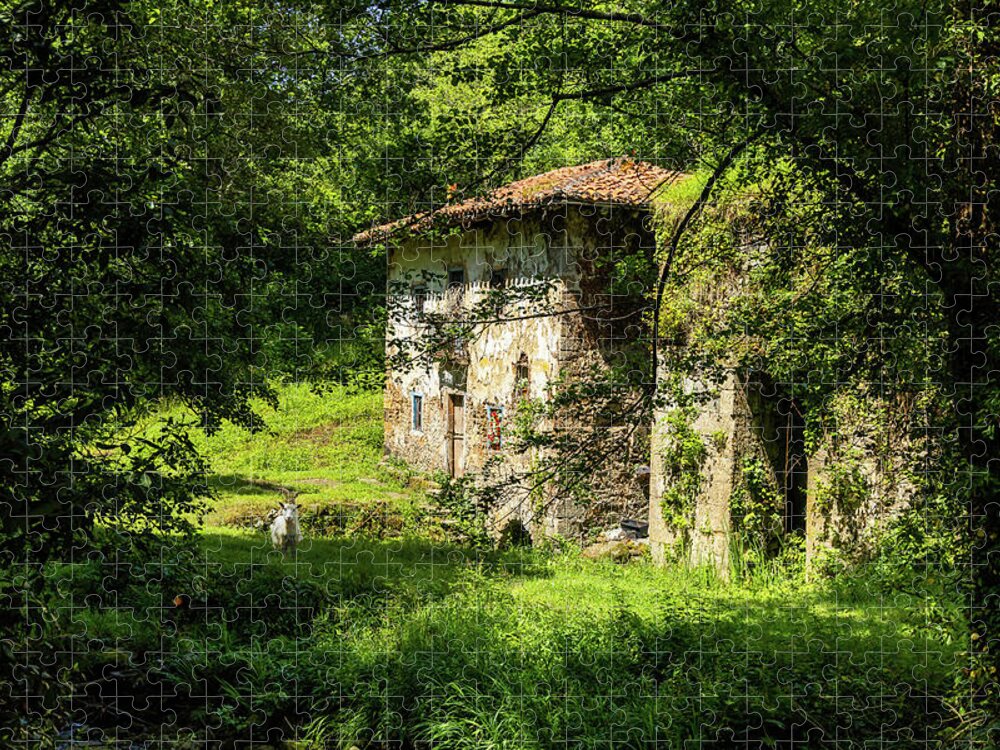 Old House Jigsaw Puzzle featuring the photograph Ferriera de Olazarra - Artzubi forest by Micah Offman