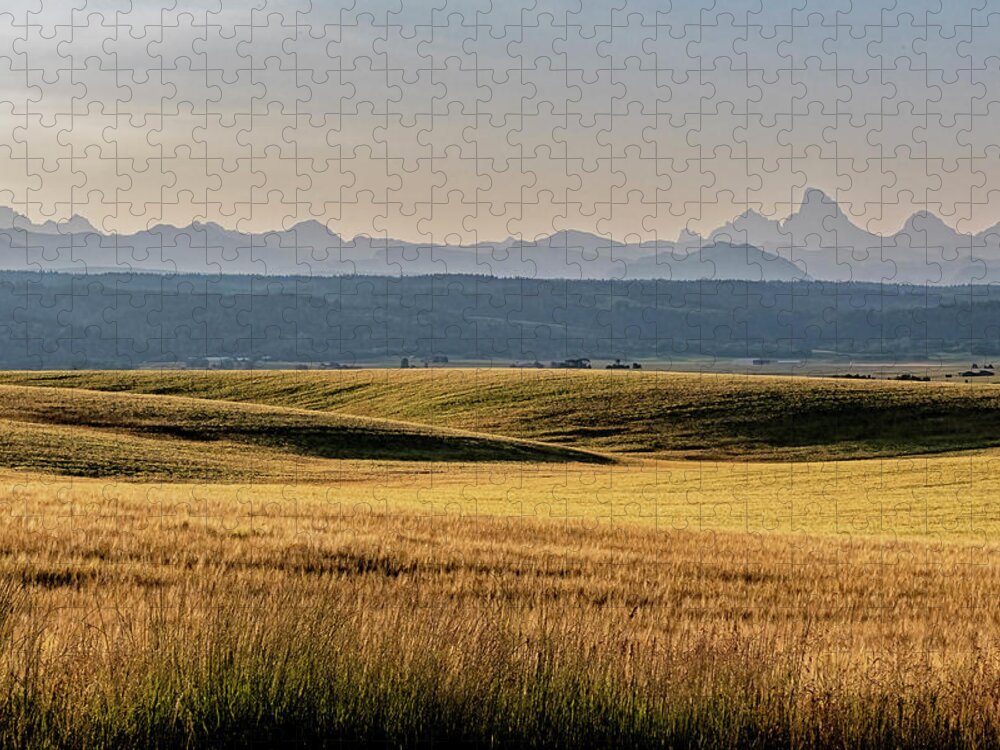 Montezuma's Castle Jigsaw Puzzle featuring the photograph Field And Tetons by Tom Singleton