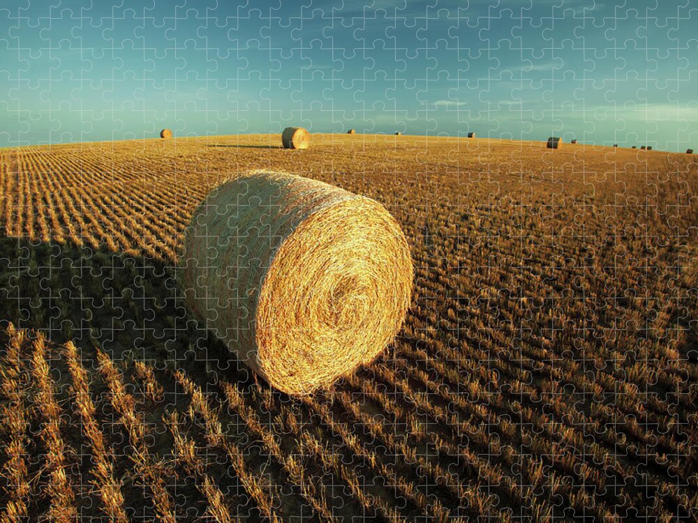 Montana Jigsaw Puzzle featuring the photograph Field Full of Bales by Todd Klassy