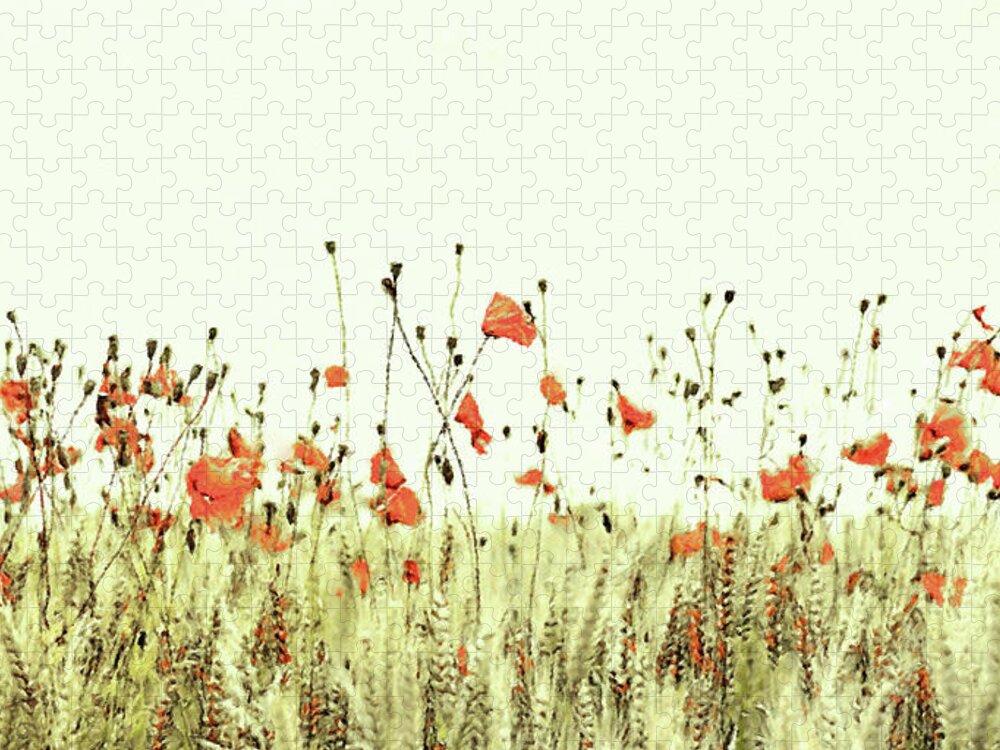 Field Of Coral Poppies Jigsaw Puzzle featuring the digital art Field of Coral Poppies by Susan Maxwell Schmidt