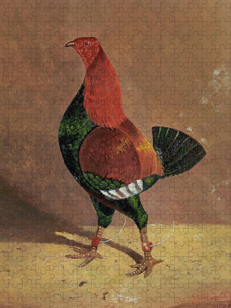 Animals Jigsaw Puzzle featuring the painting Fighting Cocks, a Dark-Breasted Fighting Cock, Facing Left by John Frederick Herring