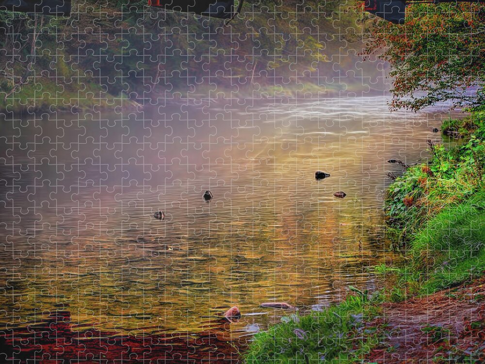 Fog Jigsaw Puzzle featuring the photograph Fog under the rusty bridge by Cordia Murphy
