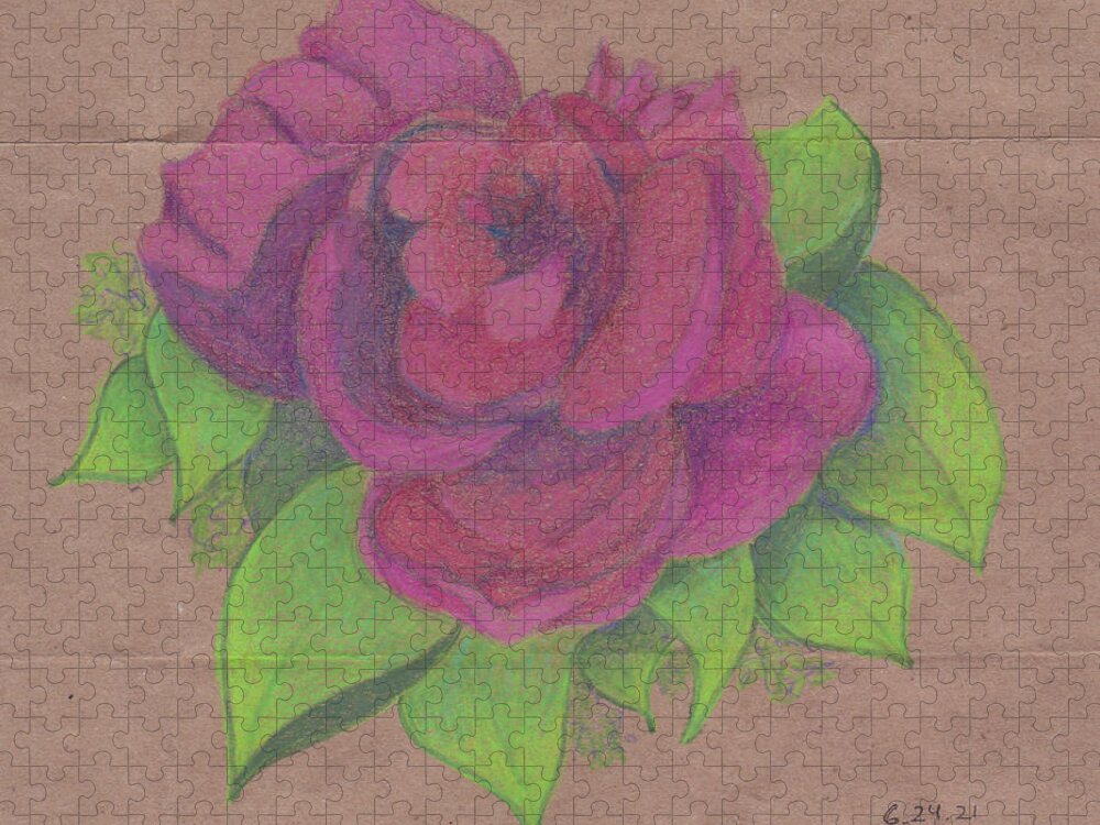 Rose Jigsaw Puzzle featuring the drawing Finding the Extraordinary by Anne Katzeff