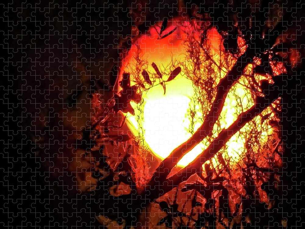 Sun Jigsaw Puzzle featuring the photograph Fireball by Gena Herro