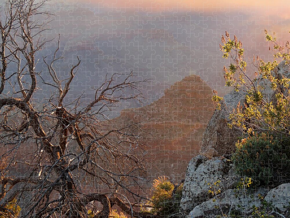 Beautiful Jigsaw Puzzle featuring the photograph First Light by Gordon Beck