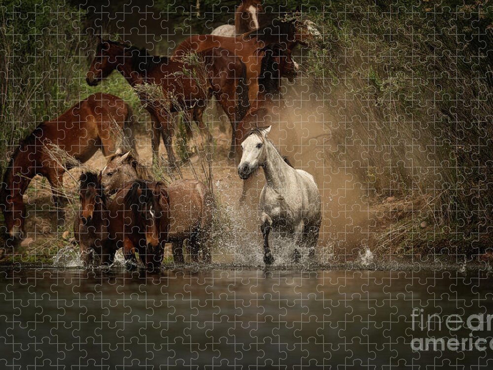 Salt River Wild Horses Jigsaw Puzzle featuring the photograph First One To The River by Shannon Hastings