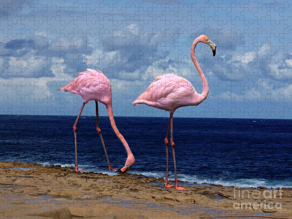 1942 Jigsaw Puzzle featuring the photograph Flamingoes Like Shrimp by Al Bourassa