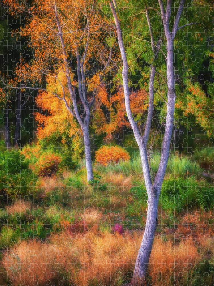Fall Jigsaw Puzzle featuring the photograph Flavors of the Forest by Darren White