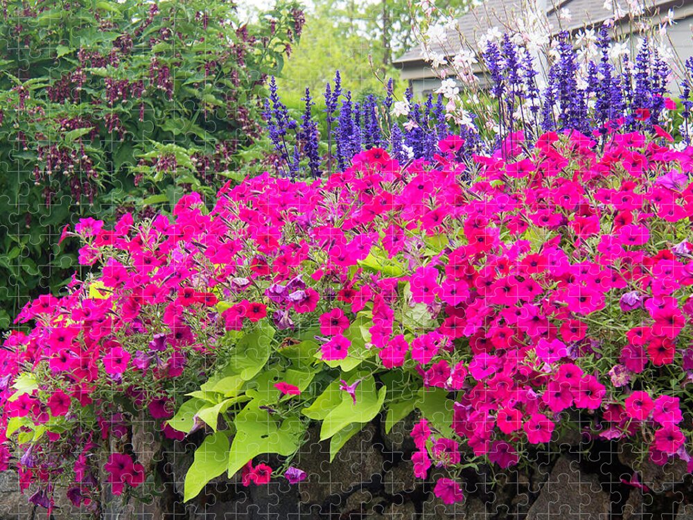 Colorful Flowers Jigsaw Puzzle featuring the photograph Floral Medley Closeup by Karen Zuk Rosenblatt