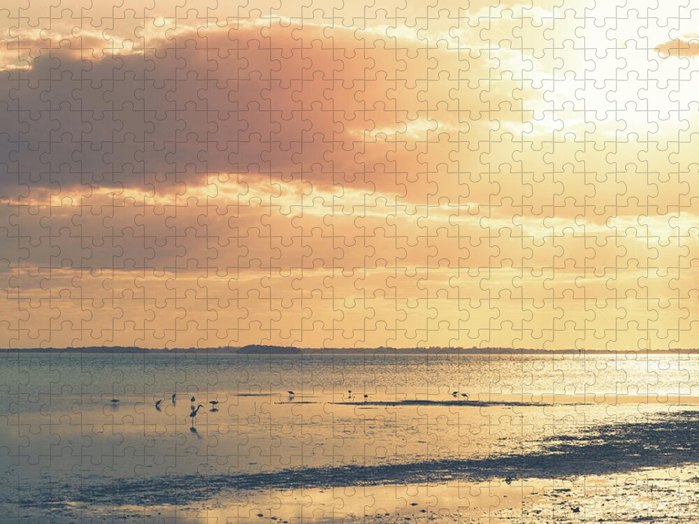 Beach Jigsaw Puzzle featuring the photograph Florida Beach Sunset by Joe Leone