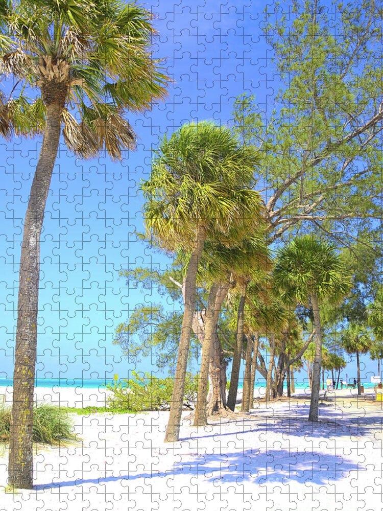 Beach Jigsaw Puzzle featuring the digital art Florida Beaches by Alison Belsan Horton