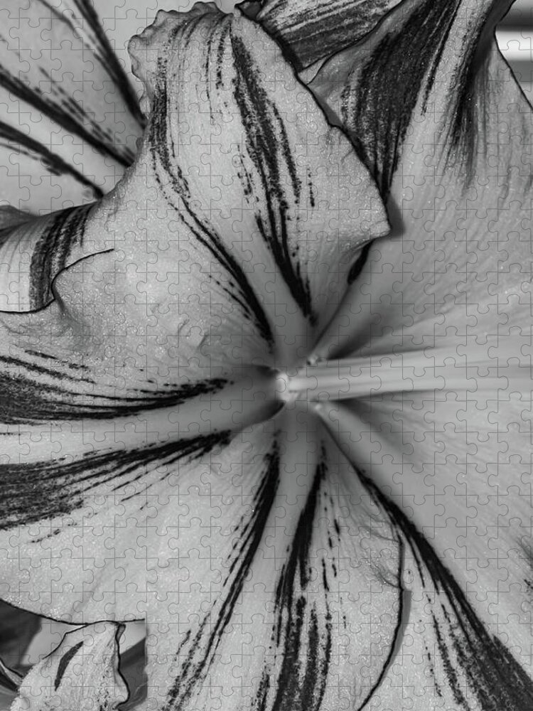 Flower Jigsaw Puzzle featuring the photograph Flower Flow Black and White by Bruce Pritchett