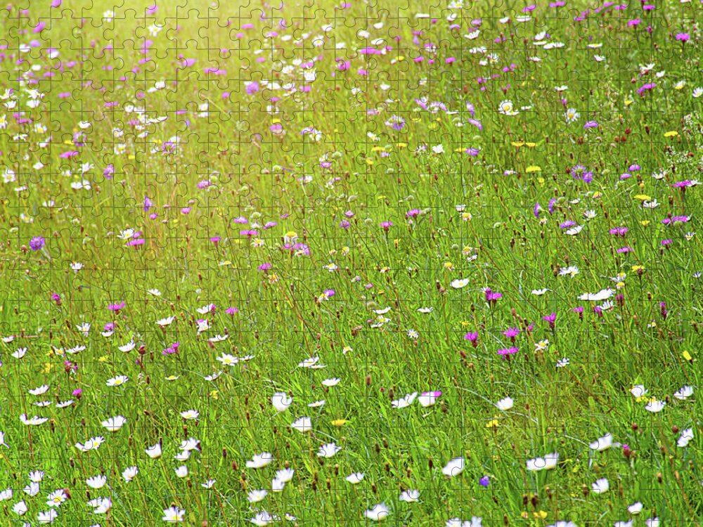 Idyllic Jigsaw Puzzle featuring the photograph Flower meadow in sunlight by Bernhard Schaffer