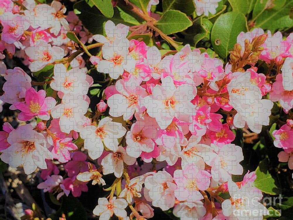 Bush Jigsaw Puzzle featuring the photograph Flowers of spring by Dipali Shah