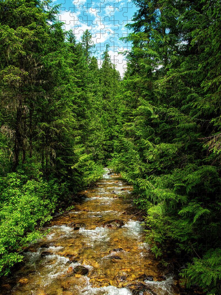 Stream Jigsaw Puzzle featuring the photograph Flowing Stream by Pamela Dunn-Parrish