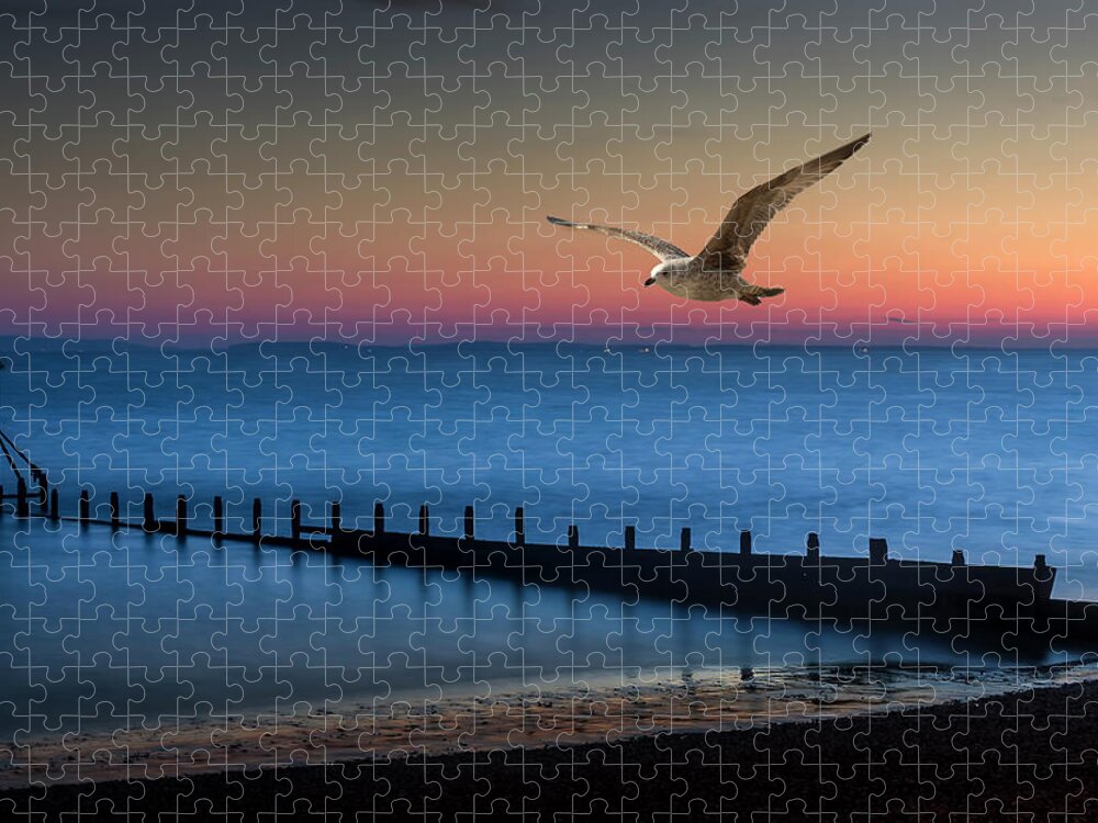 Seagull Jigsaw Puzzle featuring the photograph Fly Away by Chris Boulton