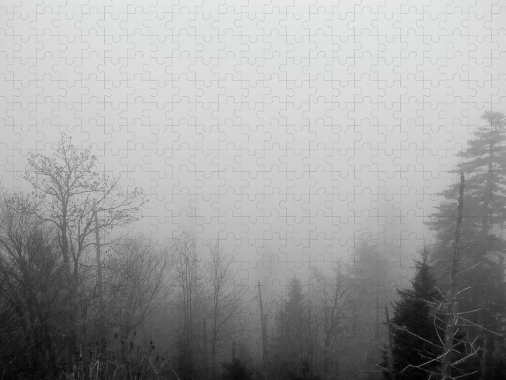Fog Jigsaw Puzzle featuring the photograph Fog at Clingman's Dome_005 by James C Richardson