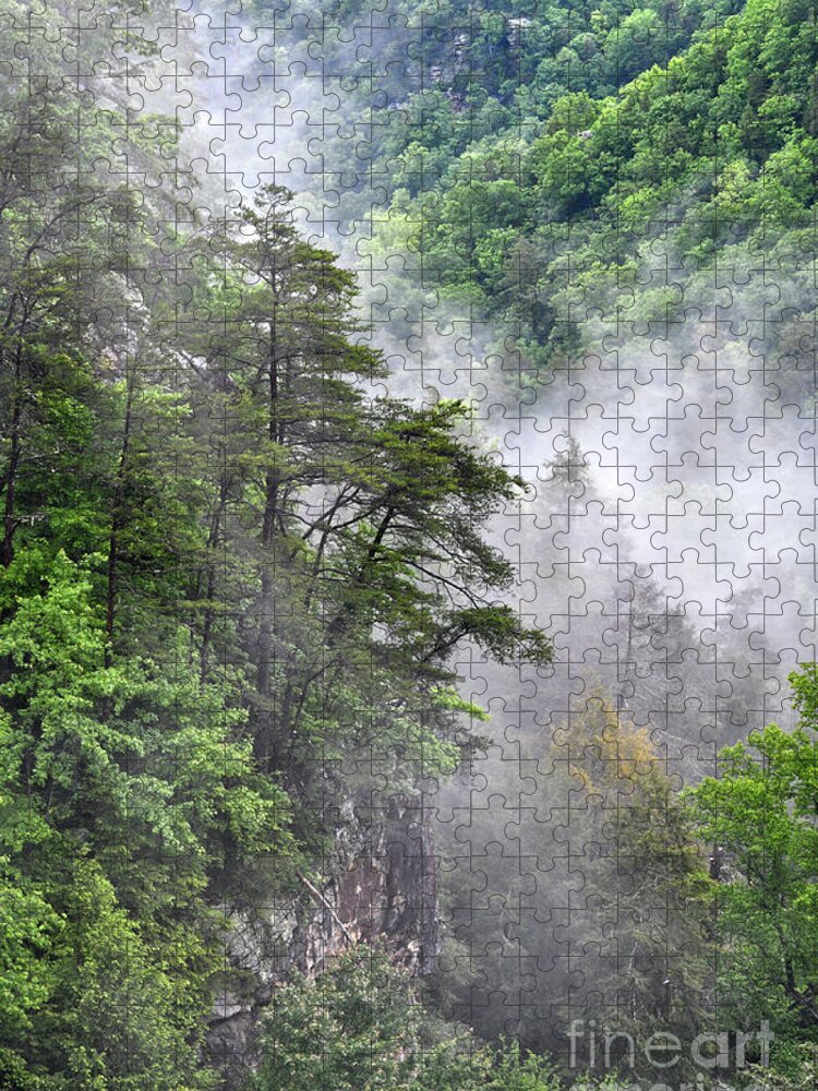 Fall Creek Falls Jigsaw Puzzle featuring the photograph Fog In Valley 2 by Phil Perkins