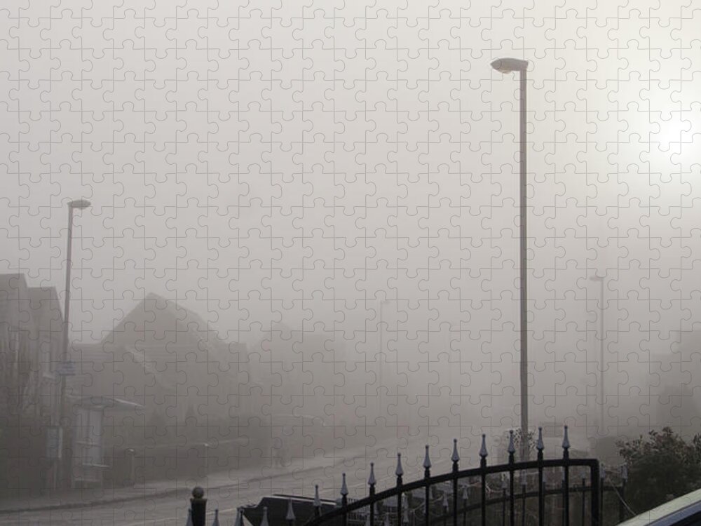 Fog Jigsaw Puzzle featuring the photograph Foggy Afternoon. by Elena Perelman