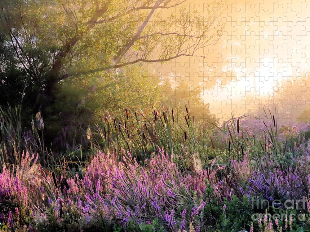 Fog Jigsaw Puzzle featuring the photograph Foggy August in the marshes by Janice Drew