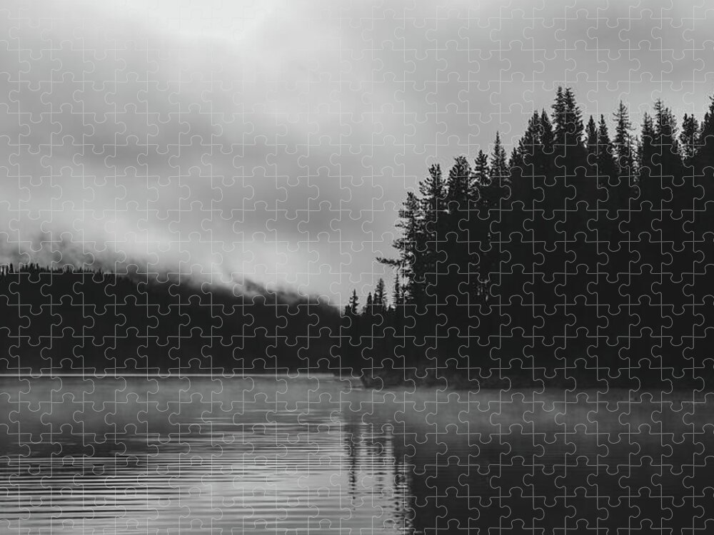 Foggy Forest Reflection Black And White Jigsaw Puzzle featuring the photograph Foggy Forest Reflection Black And White by Dan Sproul