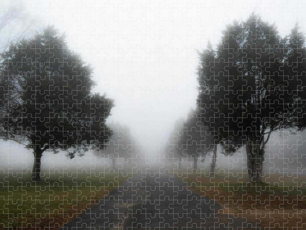 Cedars Jigsaw Puzzle featuring the photograph Foggy Morning by Addison Likins