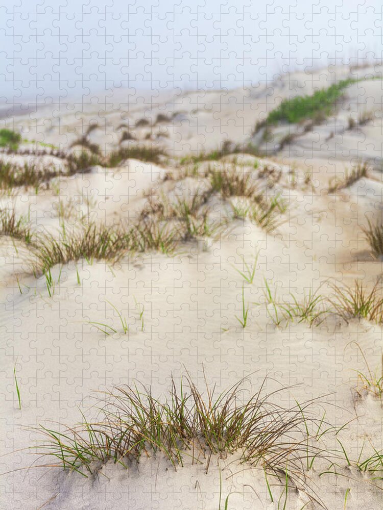 North Carolina Jigsaw Puzzle featuring the photograph Foggy Morning Foggy Dunes by Dan Carmichael