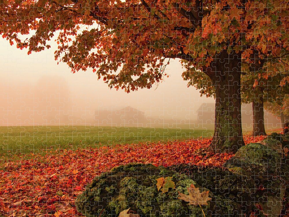 Foggy Morning In Autumn Jigsaw Puzzle featuring the photograph Foggy Morning in Autumn by Jeff Folger
