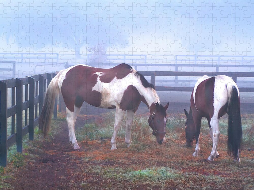 Horses Jigsaw Puzzle featuring the photograph Foggy Morning Pintos by Jerry Griffin