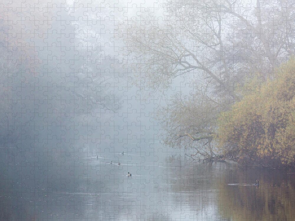 Foggy Jigsaw Puzzle featuring the photograph Foggy river with ducks and cormorant in Autumn by Anita Nicholson