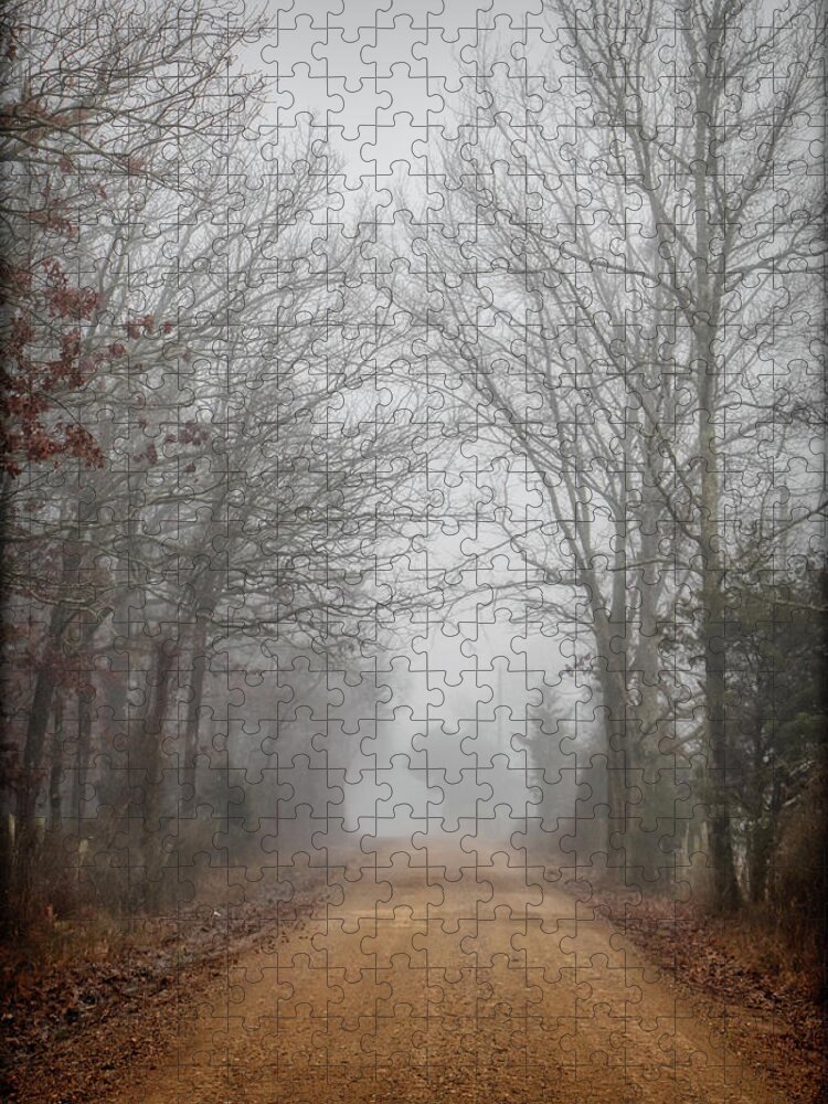 Dirt Roads Jigsaw Puzzle featuring the photograph Foggy Roads by Elaine Malott