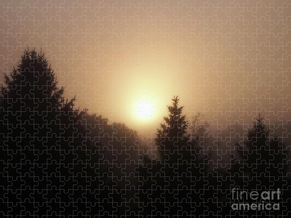 Sunrise Jigsaw Puzzle featuring the photograph Foggy Sunrise by Phil Perkins